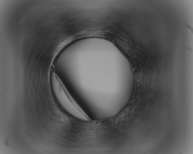 X0000097650148200803280937