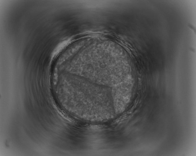 X0000097650149200803280937