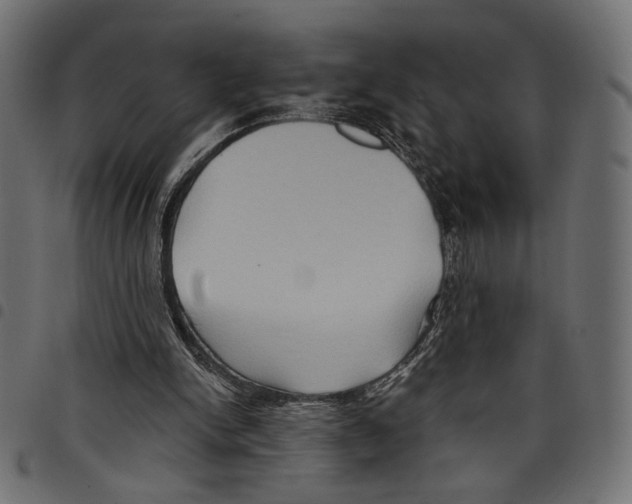 X0000097650150200803280937