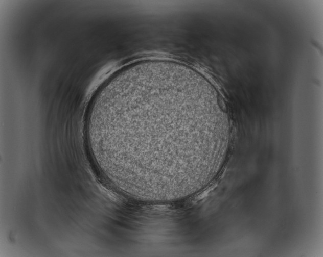 X0000097650151200803280937