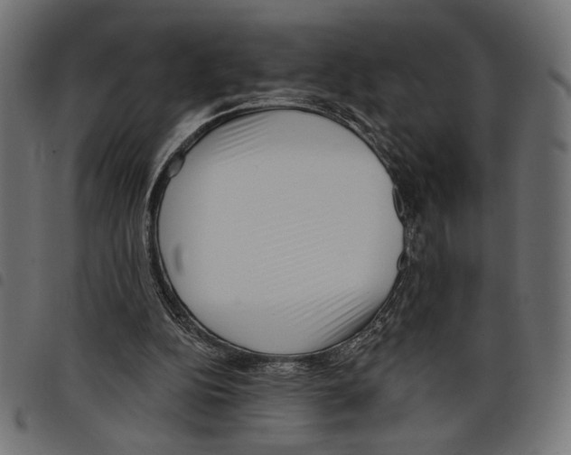 X0000097650152200803280937