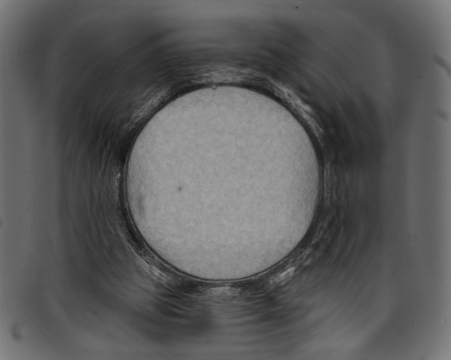 X0000097650153200803280937