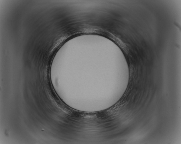 X0000097650155200803280937