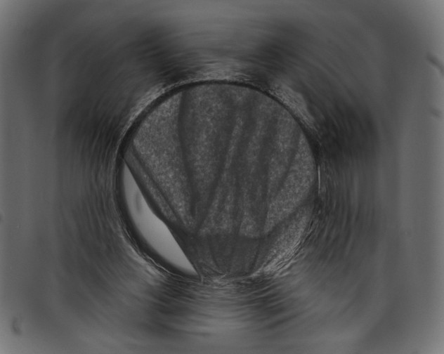 X0000097650156200803280937