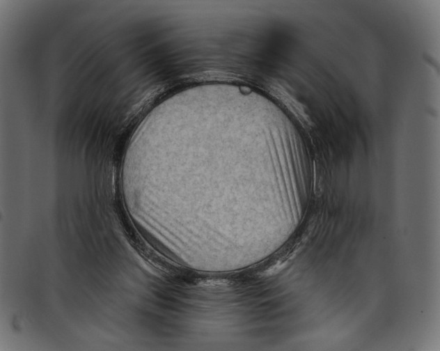 X0000097650157200803280937