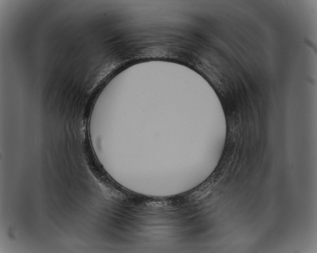 X0000097650160200803280937