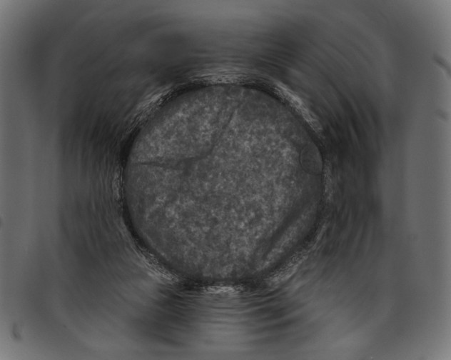 X0000097650161200803280937