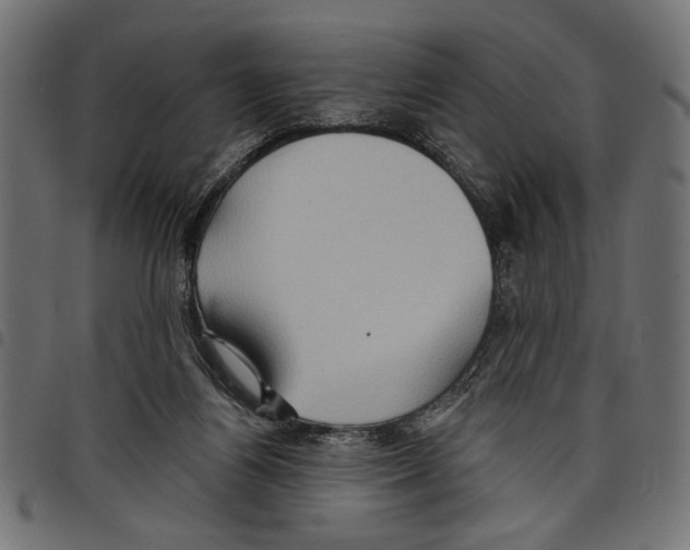 X0000097650164200803280937