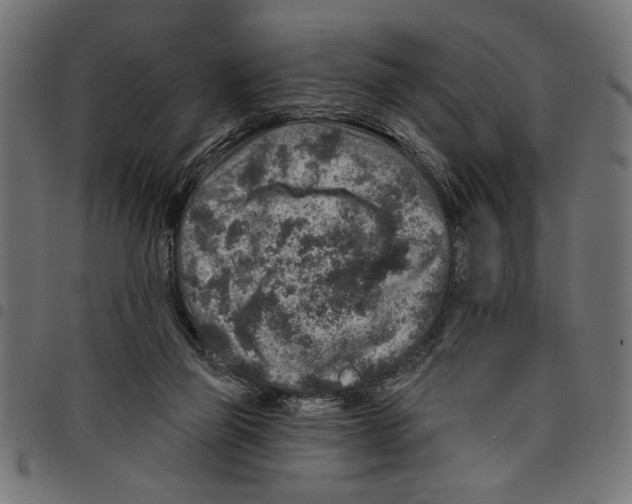 X0000097650165200803280937