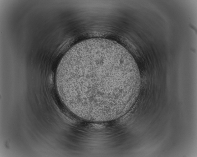 X0000097650166200803280937