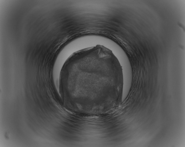 X0000097650168200803280937