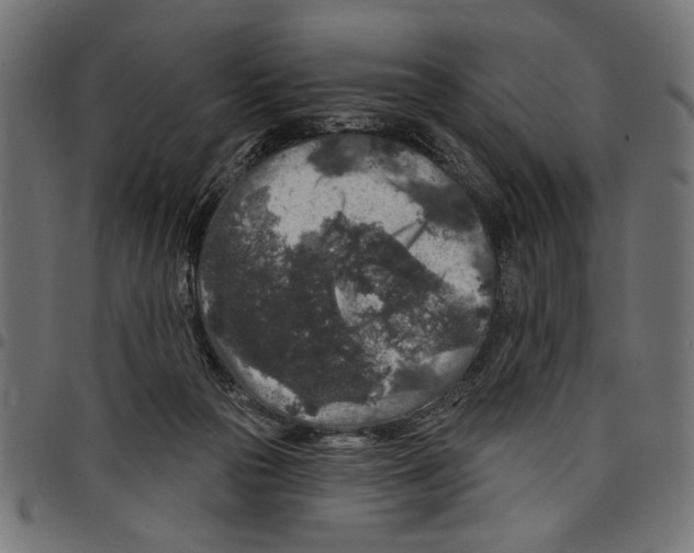 X0000097650169200803280937