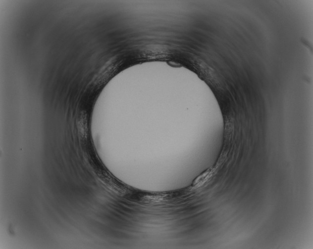 X0000097650170200803280937