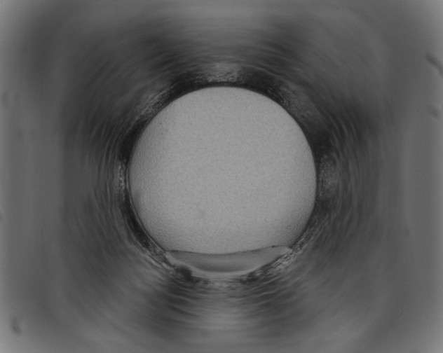 X0000097650172200803280937