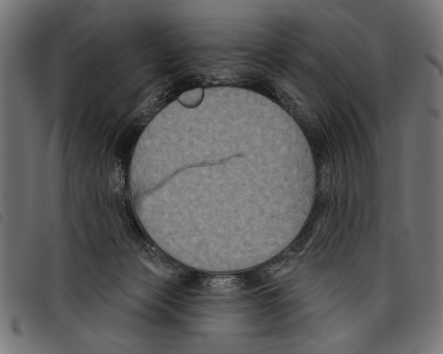 X0000097650173200803280937