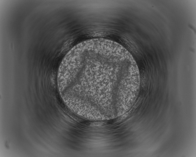 X0000097650175200803280937