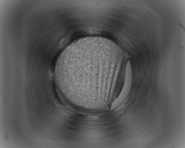 X0000097650176200803280937