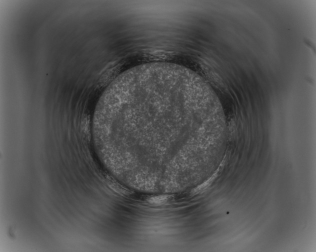 X0000097650178200803280937