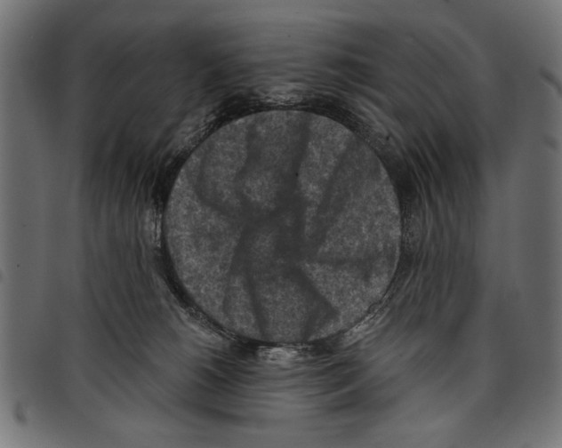 X0000097650180200803280937