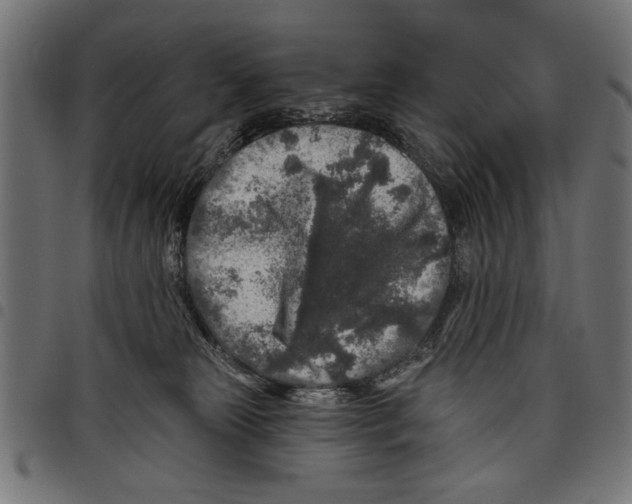 X0000097650181200803280937