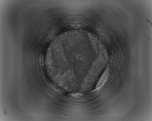 X0000097650182200803280937