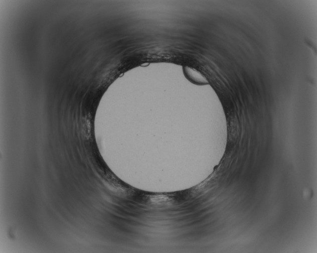 X0000097650183200803280937