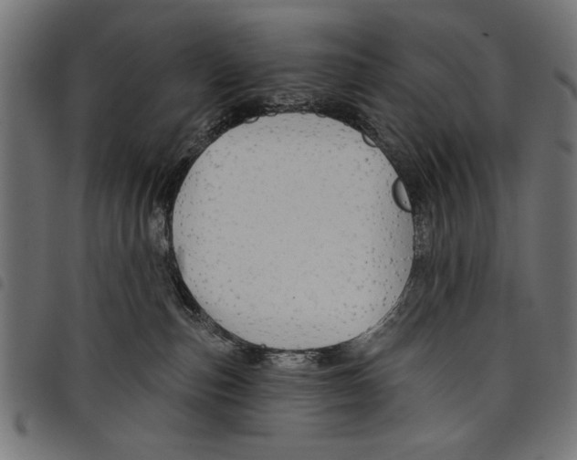 X0000097650187200803280937