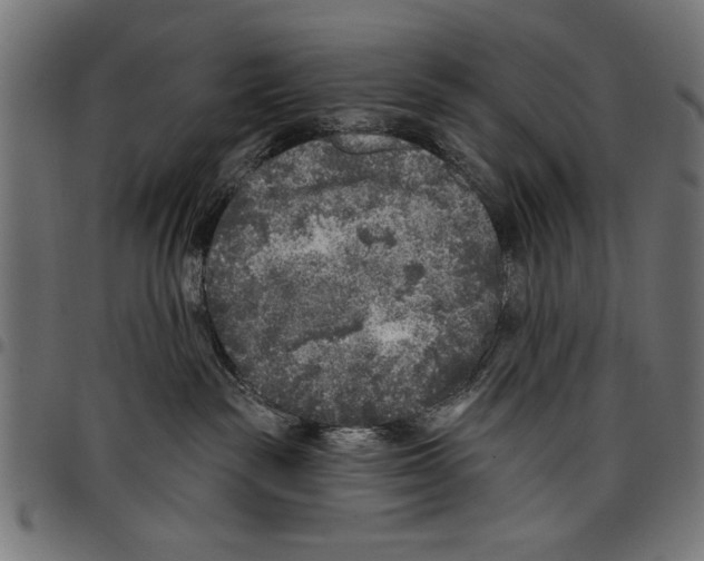 X0000097650189200803280937