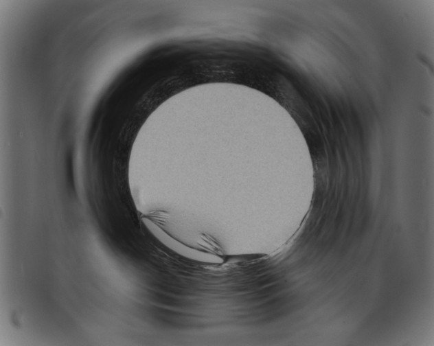 X0000097650190200803280937