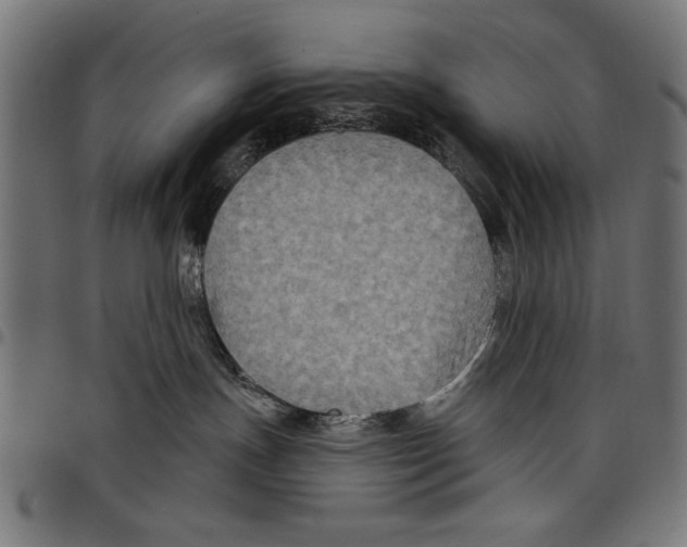 X0000097650191200803280937