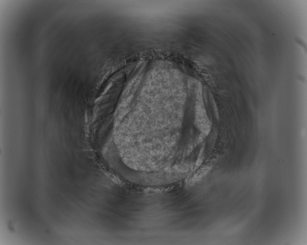 X0000097650192200803280937