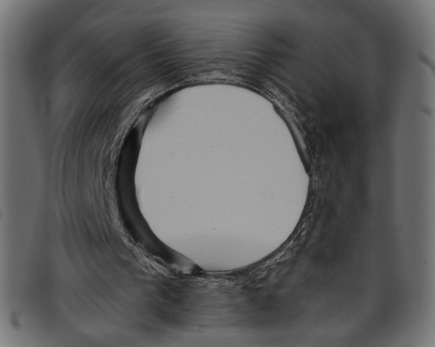 X0000097650193200803280937