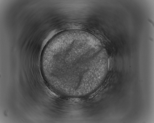 X0000097650195200803280937