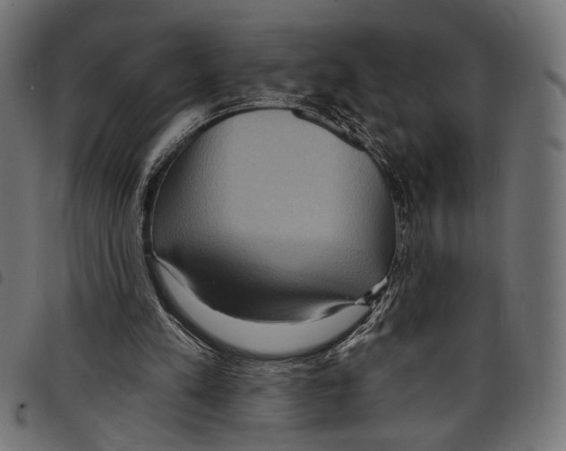 X0000097650197200803280936