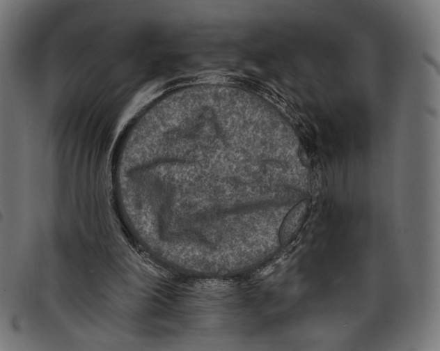 X0000097650198200803280936