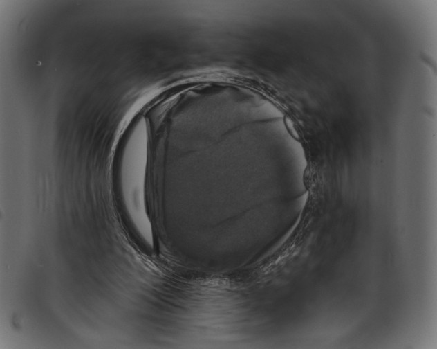 X0000097650200200803280936