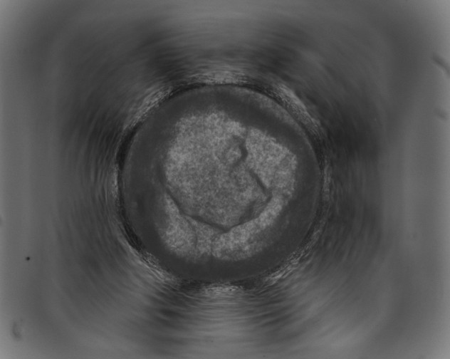 X0000097650202200803280936