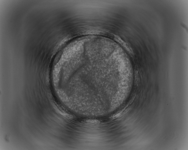 X0000097650203200803280936