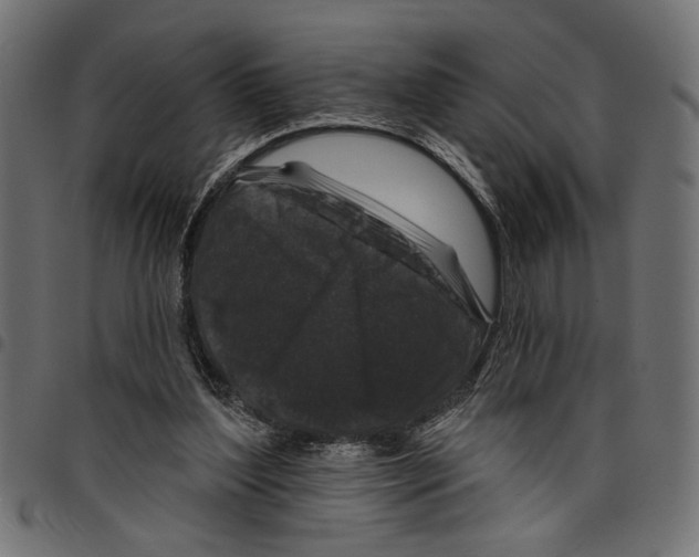 X0000097650204200803280936