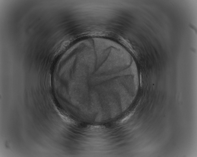 X0000097650205200803280936