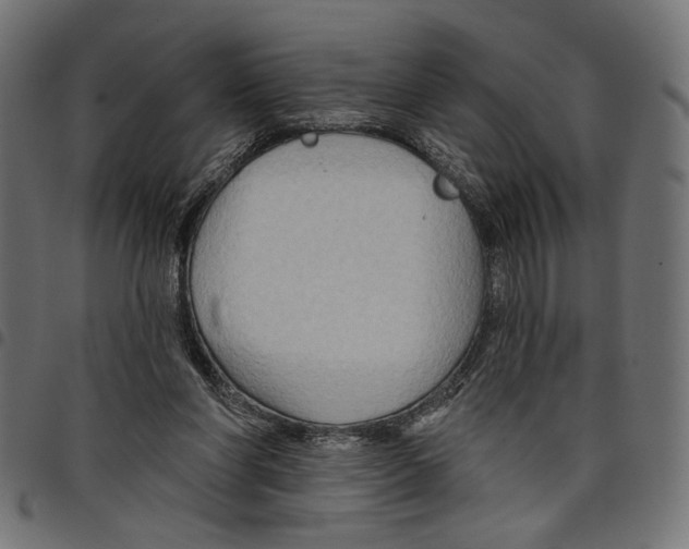 X0000097650206200803280936