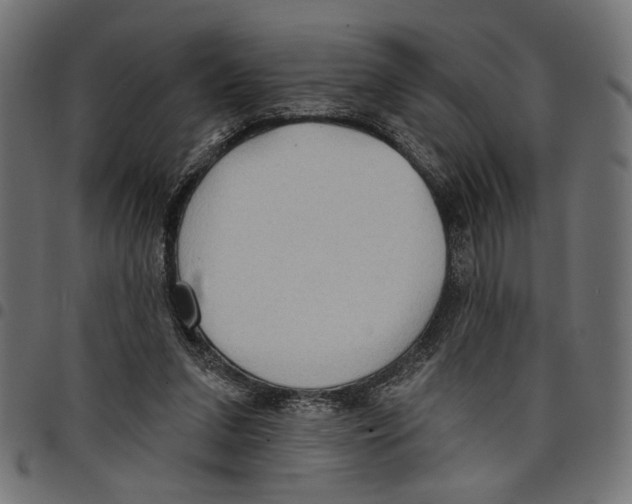 X0000097650207200803280936