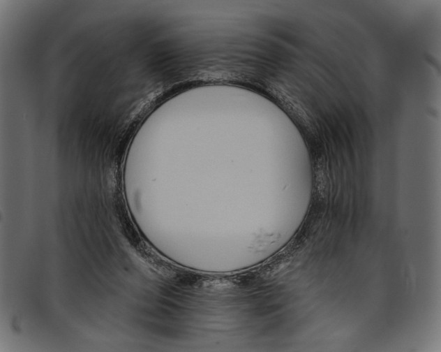 X0000097650208200803280936