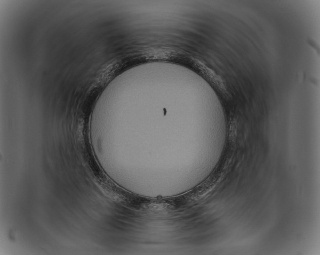 X0000097650209200803280936