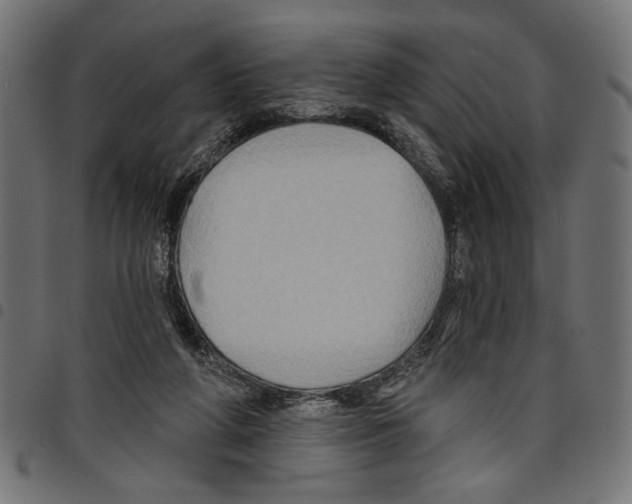 X0000097650210200803280936