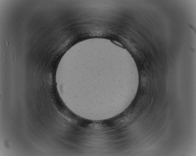 X0000097650211200803280936