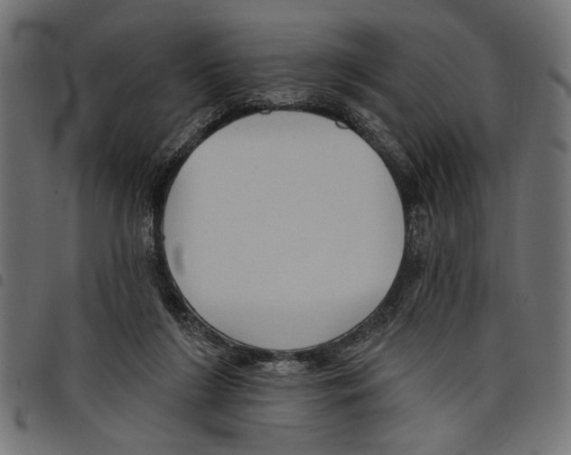 X0000097650212200803280936