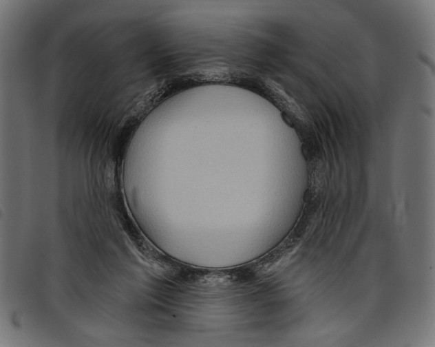 X0000097650213200803280936