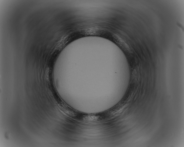 X0000097650217200803280936