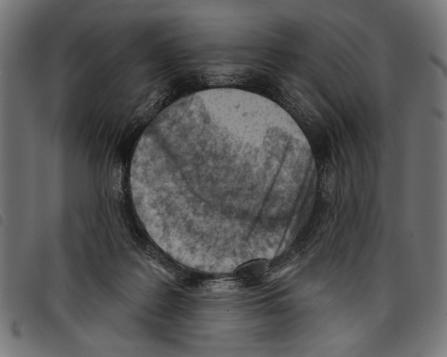 X0000097650219200803280936